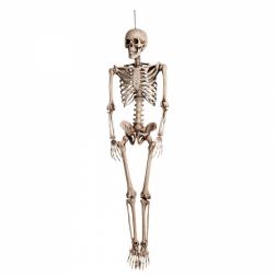 Déco squelette (160 cm)