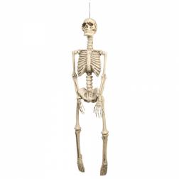Squelette 92cm à susp